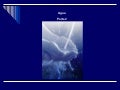 Agua Nº 2