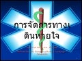 Airway (Thai)
