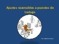 Ajustes razonables puestos de trabajo