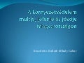 Kolláth Mihály: A környezetvédelem múltja, jelene és jövője Magyarországon
