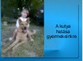A kutyatartás hatásmechanizmusa gyermekeinkre