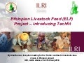 Ethiopian Livestock Feed (ELF) Project: Introducing Techfit