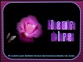 A LA SOMBRA DE LA ROSA