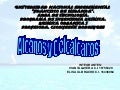 Alcanos y-cicloalcanos3815