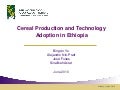 Cereal Production and Technology Adoption in Ethiopia
