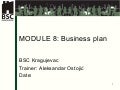 Aleksandar Ostojic - Business plan