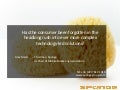 Roadshow Europe Sponge - Alex meisl 