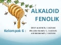 Alkaloid fenolik