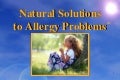 Allergy Problems Slides