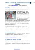 Alquiler Bicicletas Zaragoza Bizi bici