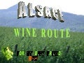Alsace wineroute