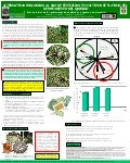 poster63: Alternativas biologicas al uso de pesticidas en cultivos de platano del departamenteo  del Quindio I. Estado inicial de las poblaciones de nemátodos y agentes de biocontrol 