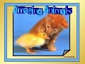 Amazing Animals