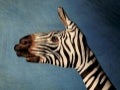 Amazing Finger Paintings
