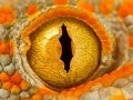 Amazing Macro Photography Shots