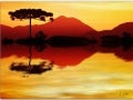 Amazing Nature Photography