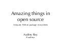 Amazing Things: Third-Party Python Package Ecosystems