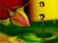 Amazing & Beautiful Macros