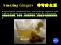 Amazing ginger
