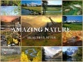 AMAZING NATURE - Beautiful River