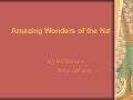 Amazing Wonders Of The Natural World By Rc Dohare& Abha Dohare