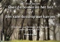 Een kaleidoscoop aan kansen (web 2.0 voor het onderwijs)