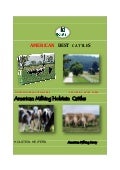 Turkont Cargo & Livestock Shipping