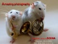 Amezing Photography   1