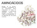 Aminoácidos Y Proteínas