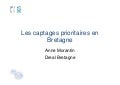 Amorantin point situation_bretonne