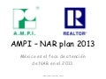 Ampi – Nar plan 2013