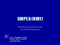 Gripe A