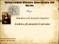 Analsis curricular