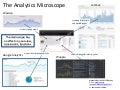 The Analytics Microscope - Only What You See Can Be Actionable