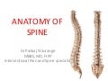 Anatomy of spine