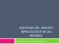 Anatomia del aparato reproductor de las hembras