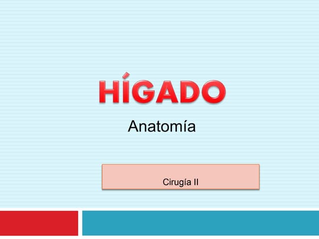 Anatomia del higado