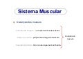 Anatomia g sistema_muscular-anatomia