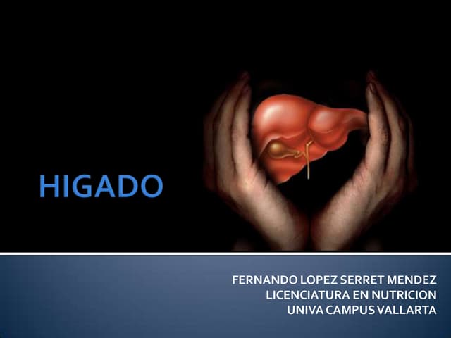 Anatomia y fisiologia del higado