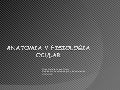 Anatomia y Fisiologia Ocular OftalmoanestesiaUIS