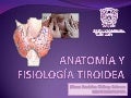 Anatomia Y Fisiologia Tiroidea