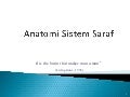 Anatomi Sistem Saraf