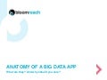Anatomy of a Big Data Application (BDA)
