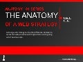 Anatomy of a web strategy