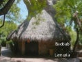 Andalusia - Fuengirola - Bioparc - Lemuria - 2010