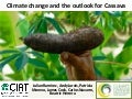Andy J - Climate change and the outlook for cassava
