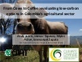 Low carbon development for Colombia