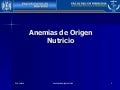 Anemias De Origen Nutricio