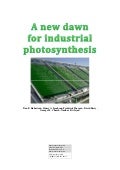 A new dawn for industrial photosynthesis