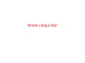 Anh congnhan ccihp_comments15_april